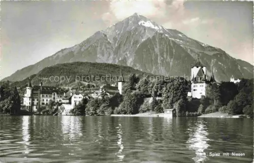 AK / Ansichtskarte SPIEZ Thunersee Niedersimmental BE Niesen 