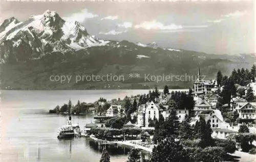 AK / Ansichtskarte Weggis Vierwaldstaettersee LU Pilatus 