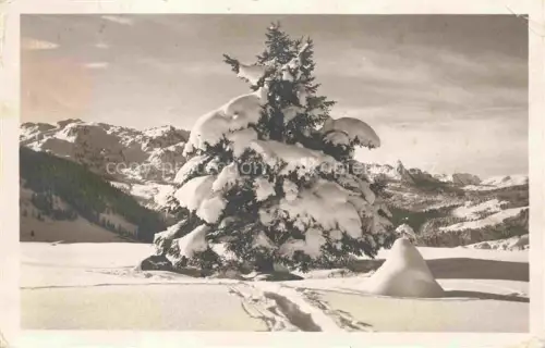 AK / Ansichtskarte Oberiberg Winterlandschaft Blick gegen die Ibergeregg