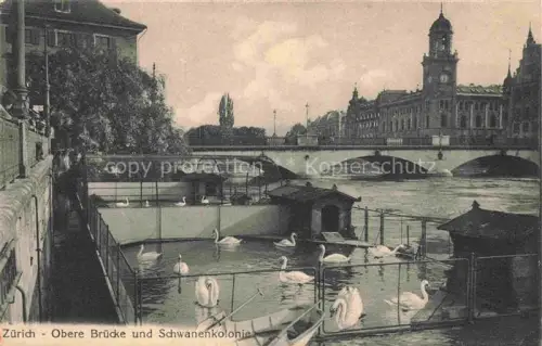 AK / Ansichtskarte ZueRICH  ZH Obere Bruecke und Schwanenkolonie an der Limath