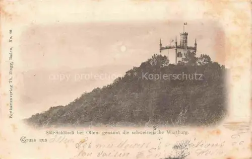 AK / Ansichtskarte OLTEN SO Saeli-Schloessli genannt die schweizerische Wartburg
