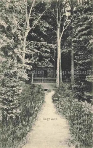 AK / Ansichtskarte Laasphe BAD LAASPHE NRW Siegquelle