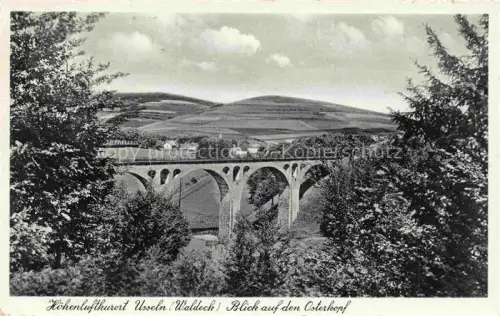 AK / Ansichtskarte Usseln Willingen Waldeck-Frankenberg Hessen Blick auf den Osterkopf Viadukt