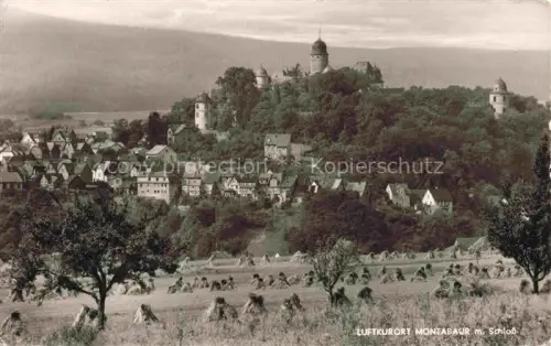 AK / Ansichtskarte Montabaur Westerwald Rheinland-Pfalz Panorama mit Schloss