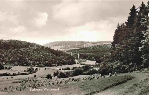 AK / Ansichtskarte Buedingen Westerwald Nistertal Rheinland-Pfalz Panorama
