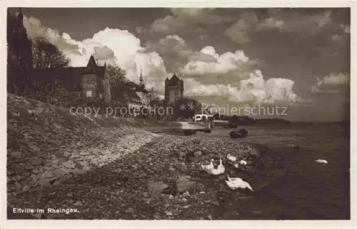 AK / Ansichtskarte Eltville Rhein Uferpartie am Rhein