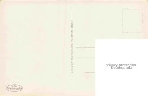 AK / Ansichtskarte Eltville Rhein Uferpartie am Rhein