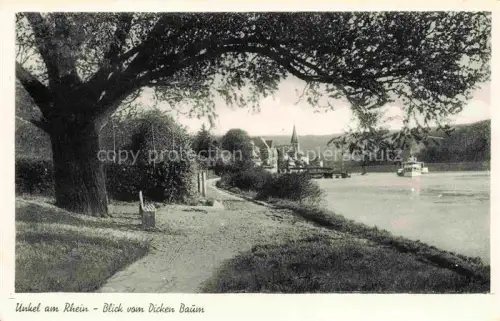 AK / Ansichtskarte Unkel Rhein Uferpromenade Blick vom Dicken Baum