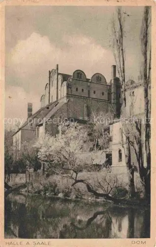 AK / Ansichtskarte HALLE  SAALE Dom
