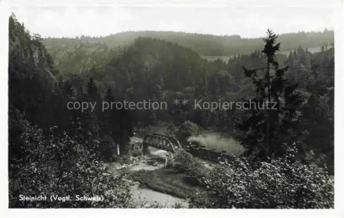 AK / Ansichtskarte Steinicht GREIZ Thueringen Panorama
