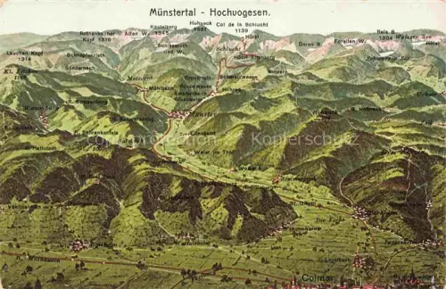 AK / Ansichtskarte Muenstertal Muensterthal Gerardmer 88 Vosges und die Vogesen Panoramakarte aus der Vogelperspektive