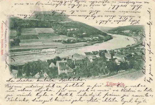 AK / Ansichtskarte Lilienstein Bad Schandau Saechsische Schweiz Panorama