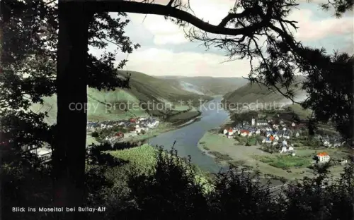 AK / Ansichtskarte Alf Bullay Mosel Blick ins Moseltal