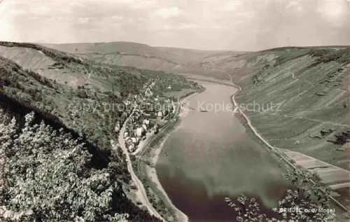 AK / Ansichtskarte Briedel Mosel Rheinland-Pfalz Moselpartie