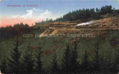 AK / Ansichtskarte BROCKEN Harz Sachsen-Anhalt Brockenbahn am Eckerloch