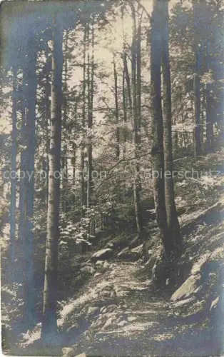 AK / Ansichtskarte Pfastatt Mulhouse 68 Haut-Rhin Waldpfad