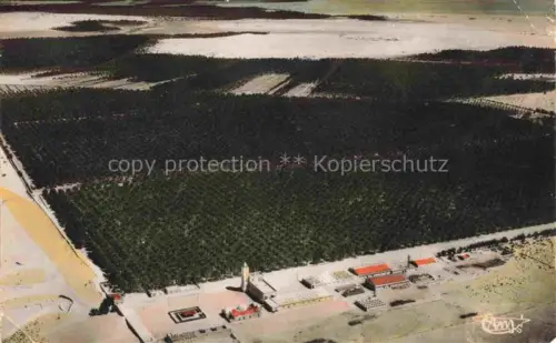 AK / Ansichtskarte Touggourt Tougourt Algerie Vue générale aérienne