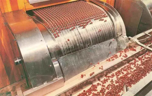 AK / Ansichtskarte Hershey Pennsylvania USA The Hershey Chocolate and Confectionery Division Plant of Hershey Foods Corporation