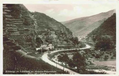 AK / Ansichtskarte Walporzheim Weinberge am Kaiserstuhl