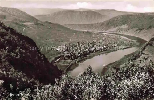 AK / Ansichtskarte Bruttig Mosel Bruttig-Fankel Rheinland-Pfalz Panorama