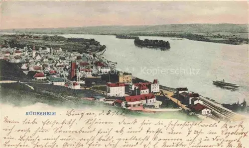 AK / Ansichtskarte RueDESHEIM am Rhein Hessen Rheinpanorama