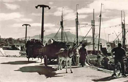 AK / Ansichtskarte SAINT-JEAN-DE-LUZ Bayonne 64 Pyrenees-Atlantiques Chargement des Filets pour la Pêche