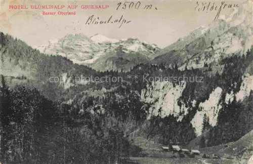 AK / Ansichtskarte Berner Oberland BE Bluemlisalp auf Griesalp 