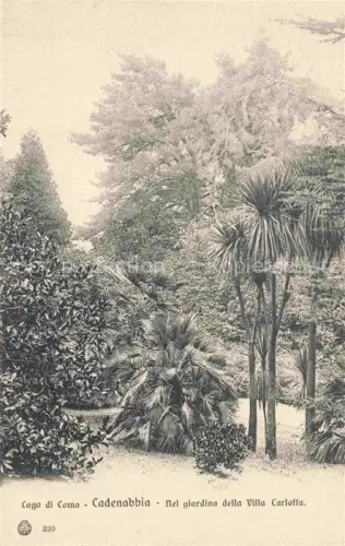 AK / Ansichtskarte Cadenabbia Griante Lago di Como Lombardia IT Nel giardino della Villa Carlotta