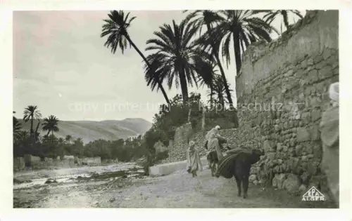 AK / Ansichtskarte Bou-Saada Algerie Dans l'Oued
