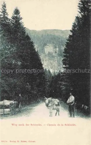 AK / Ansichtskarte La Schlucht 1150m Gerardmer 88 Vosges Weg nach der Schlucht Chemin de la Schlucht