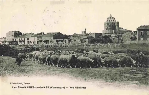 AK / Ansichtskarte LES SAINTES-MARIES-DE-LA-MER 13 Bouches-du-Rhone Vue générale troupeau de moutons
