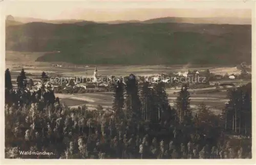 AK / Ansichtskarte Waldmuenchen Cham Bayern Panorama