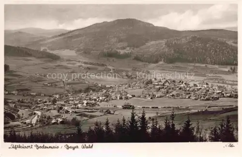 AK / Ansichtskarte Bodenmais Panorama