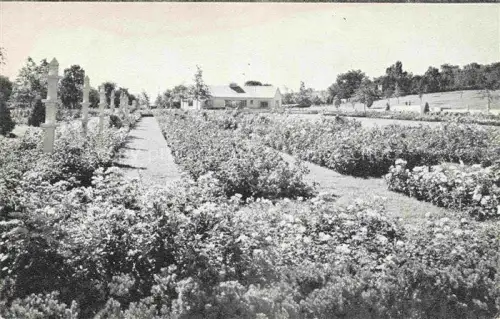 AK / Ansichtskarte Newark New York USA The Jackson and Perkins Rose Garden