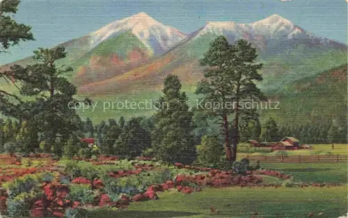 AK / Ansichtskarte Flagstaff Arizona USA Panorama San Francisco Peaks