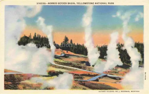 AK / Ansichtskarte Yellowstone National Park Wyoming USA Norris Geyser Basin