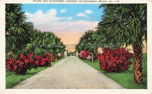 AK / Ansichtskarte Savannah Beach Tybee Island Georgia USA Palms and Oleanders Illustration