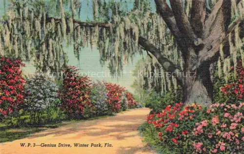 AK / Ansichtskarte Winter Park Florida USA Genius Drive Illustration