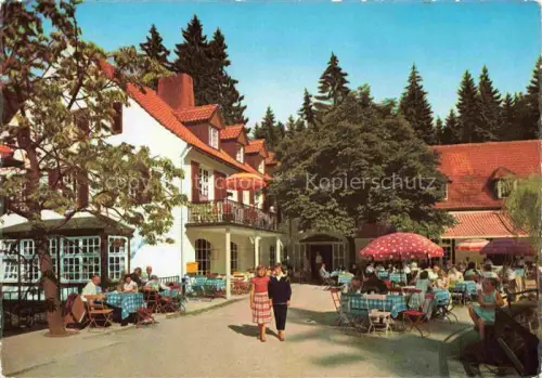 AK / Ansichtskarte Leopoldstal Lippe NRW Waldhotel Pension Silbermuehle Terrasse