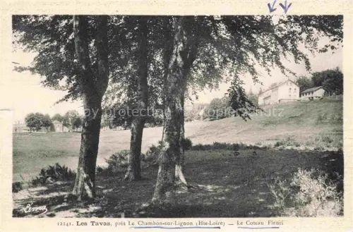 AK / Ansichtskarte Les Tavas Chambon-sur-Lignon Le Yssingeaux 43 Haute-Loire Le Cateau Fleuri