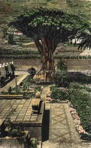 AK / Ansichtskarte Icod de los Vinos Tenerife Islas Canarias ES El Drago Dragon-tree