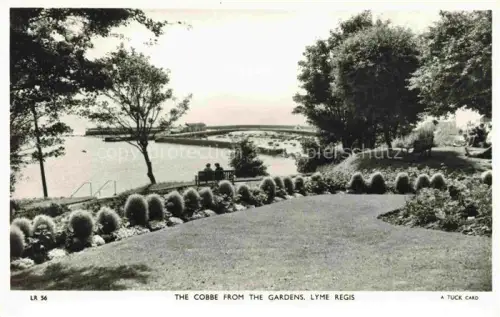 AK / Ansichtskarte Lyme  Regis Dorset UK The Cobbe from the Gardens