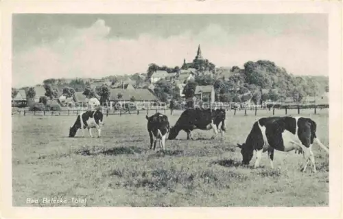 AK / Ansichtskarte Bad Belecke Warstein NRW Total Viehweide Kuehe
