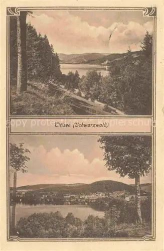 AK / Ansichtskarte TITISEE Schwarzwald BW Panorama Waldpartie