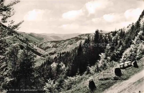 AK / Ansichtskarte Haeg-Ehrsberg Baden Landschaftspanorama Blick ins Angenbachtal Schwarzwald