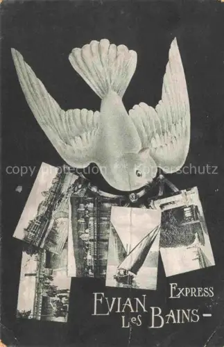 AK / Ansichtskarte Evian-les-Bains Thonon-les-Bains 74 Haute-Savoie Briefschwalbe per Express Teilansichten