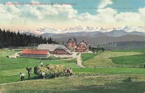AK / Ansichtskarte Feldberg 1450m Schwarzwald Panorama Feldarbeit Feldbergerhot Alpenpanorama Pruefstempel