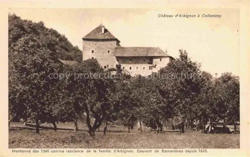 AK / Ansichtskarte Collombey-le-Grand Collombey-Muraz VS Chateau d'Arbignon a Collombey