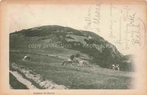 AK / Ansichtskarte Grand-Ballon Grosser Belchen 1424m Guebwiller 68 Haut-Rhin Sommet du Ballon
