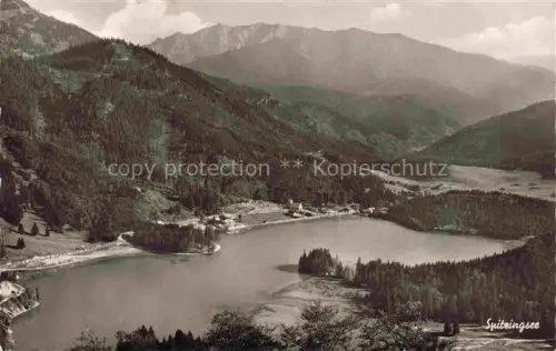 AK / Ansichtskarte Spitzingsee 1130m Schliersee Bayern mit Sonnwendjoch